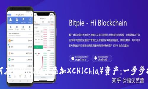 如何在tpWallet中添加XCH（Chia）资产：一步步指南