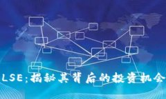 虚拟币LSE：揭秘其背后的投资机会与风险