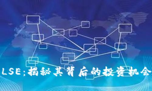 虚拟币LSE：揭秘其背后的投资机会与风险