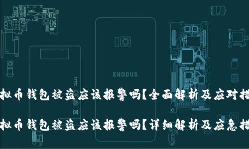 虚拟币钱包被盗应该报警吗？全面解析及应对措施

虚拟币钱包被盗应该报警吗？详细解析及应急措施